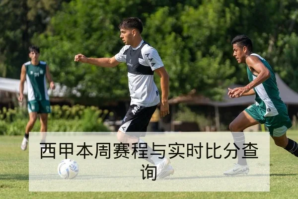 中超近10轮主客场积分分布与保级概率查询