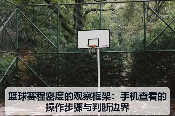 篮球赛程密度的观察框架：手机查看的操作步骤与判断边界（leyu）